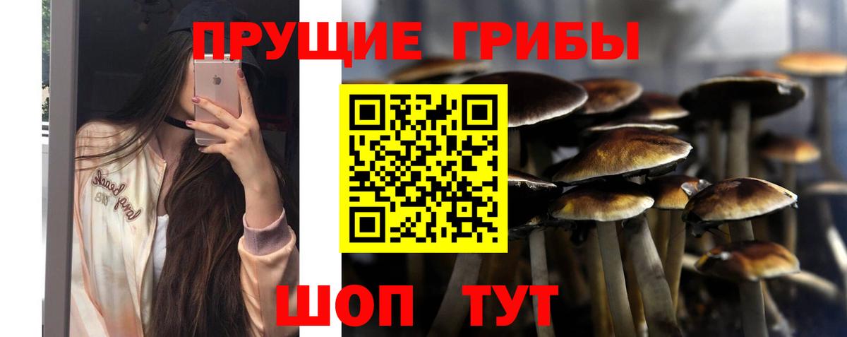 Галлюциногенные грибы ЛСД  Галлюциногенные грибы прущие грибы  Лянтор  наркошоп  Вход с VPN 